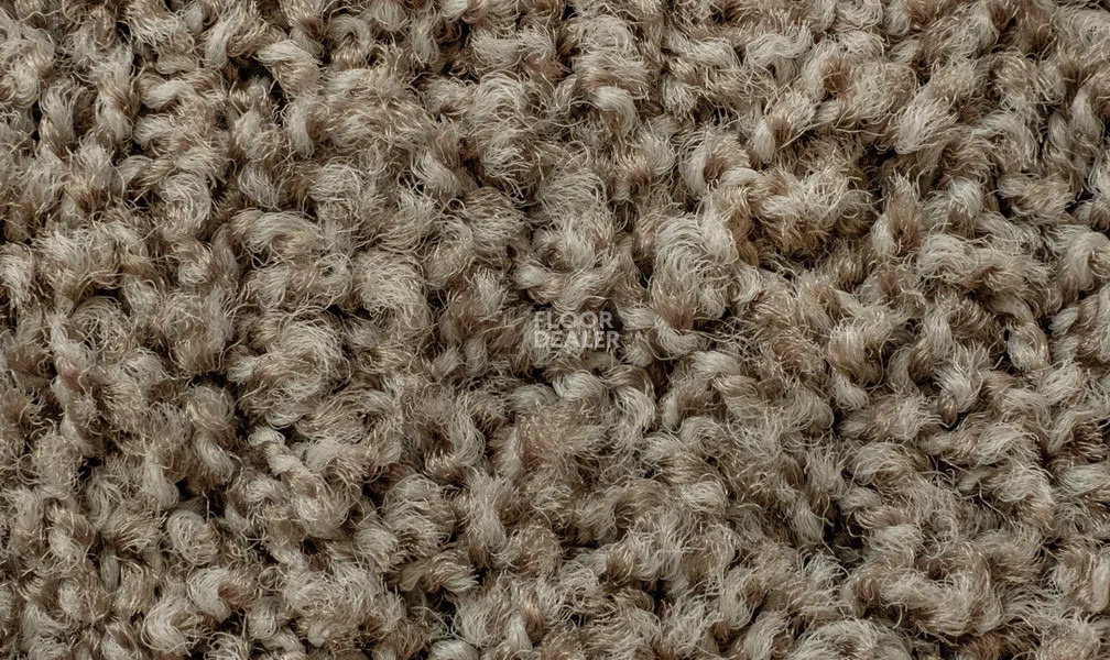 Vorwerk Exclusive1009/Elara 8g81 фото 2 | FLOORDEALER